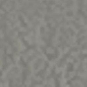 Meet your Posher, Alexa